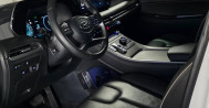 더 뉴팰리세이드 2.2 디젤 2WD 7인승 르블랑 125하3398 팰리세이드장기렌터카, 법인렌터카, 팰리세이드장기렌트